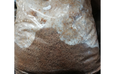 The incubation of substrates for mushroom cultivation