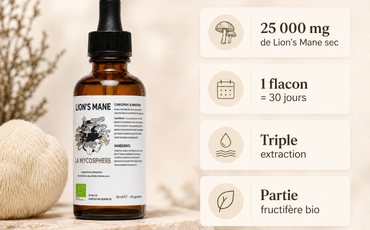 How do you choose a high-quality Lion’s Mane extract?
