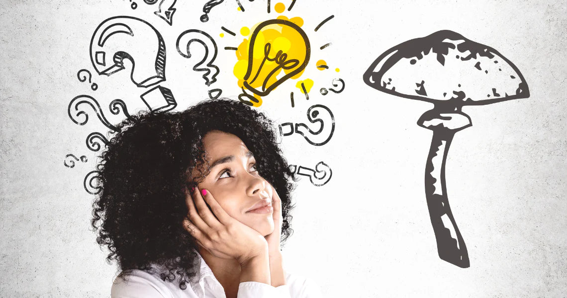 Atelier Visite : Introduction à la Myciculture