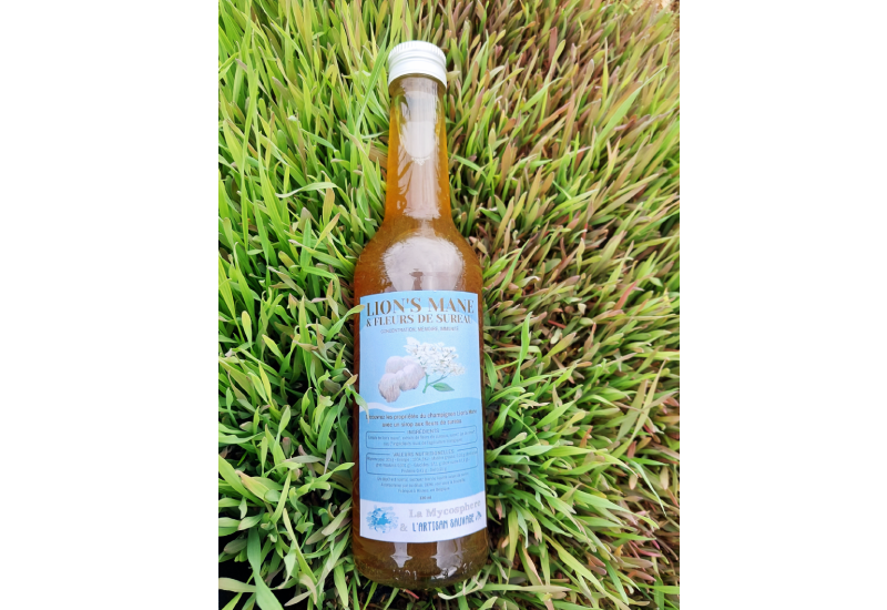 Sirup mit Löwenmähne und Holunderblüten