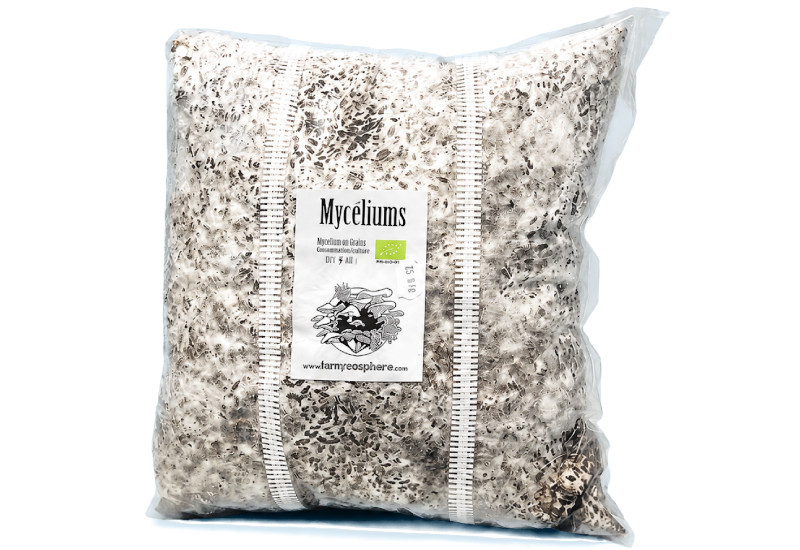 organic grain-based mycelium from Mycosphere