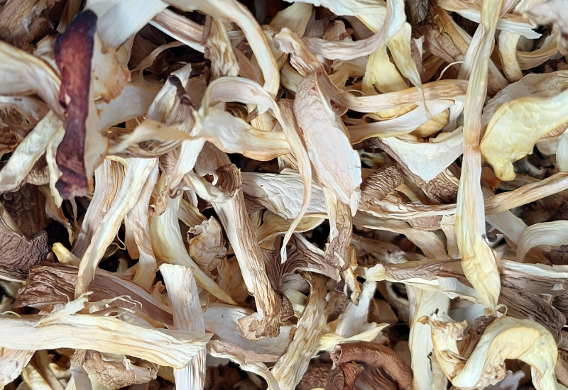 Pleurote séché vrac