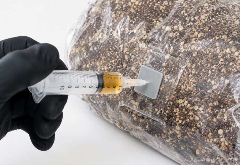 All-in-One Substrate Injection Liquid Culture