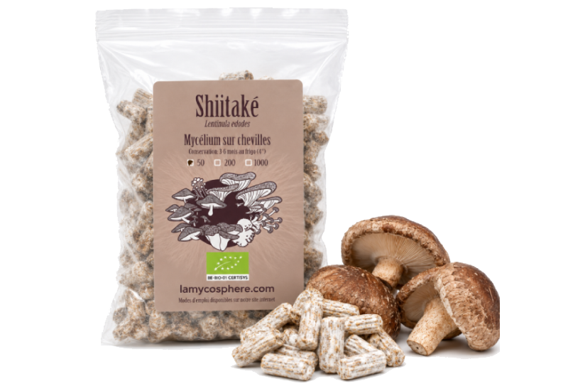 chevilles de shiitake
