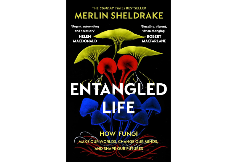 Entangled life Merlin Sheldrake