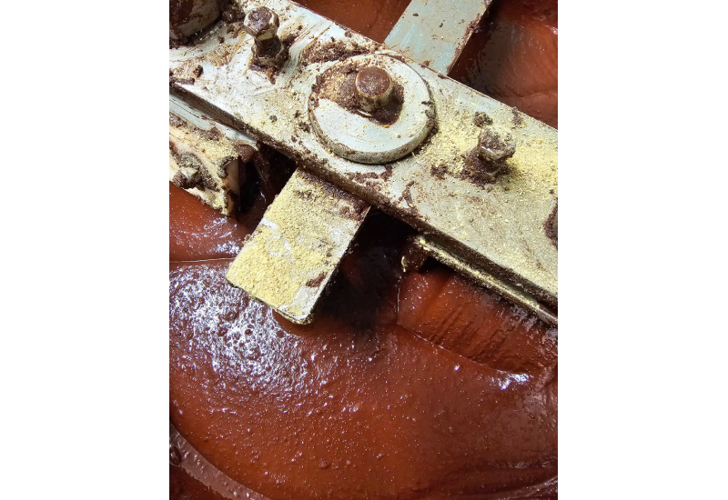 fabrication du cacao au lion's mane