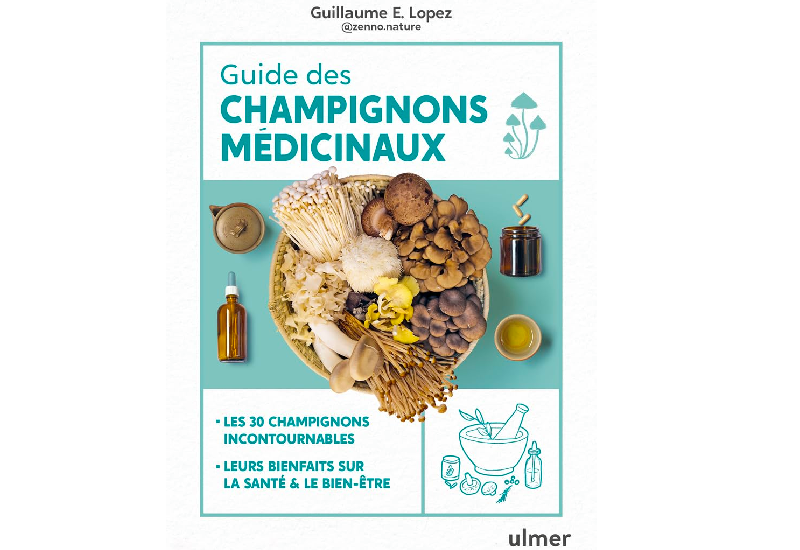 guide des champignons medicinaux