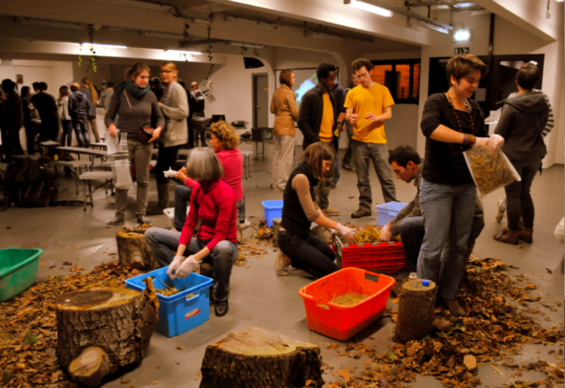 Atelier Visite : Introduction à la Myciculture