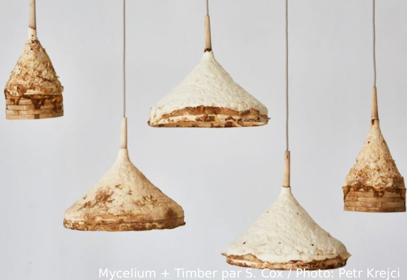 Lampe en mycélium mycomatériaux