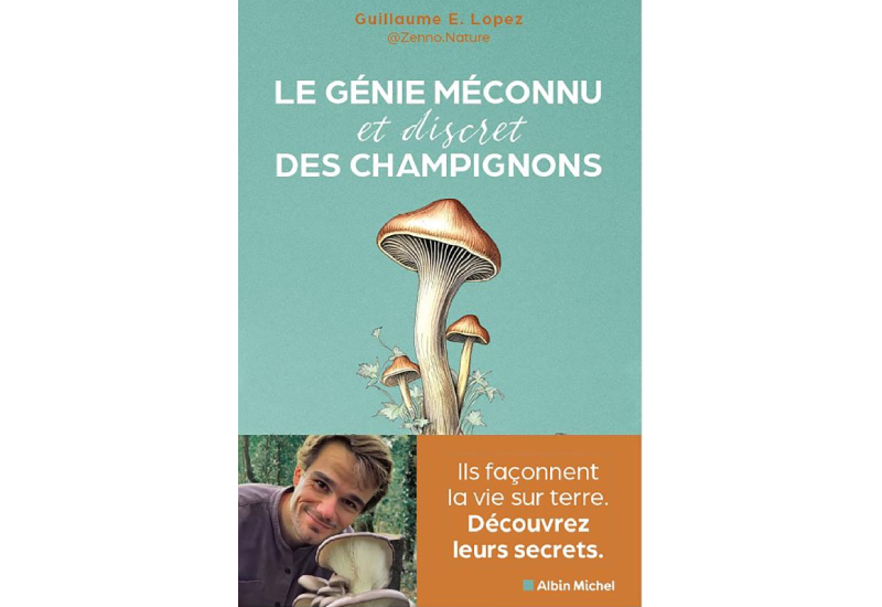 Le génie méconnu et discret des champignons