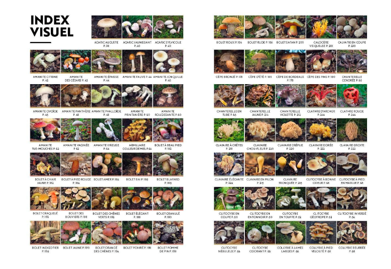 Livre le guide des champignons. Albin Michel