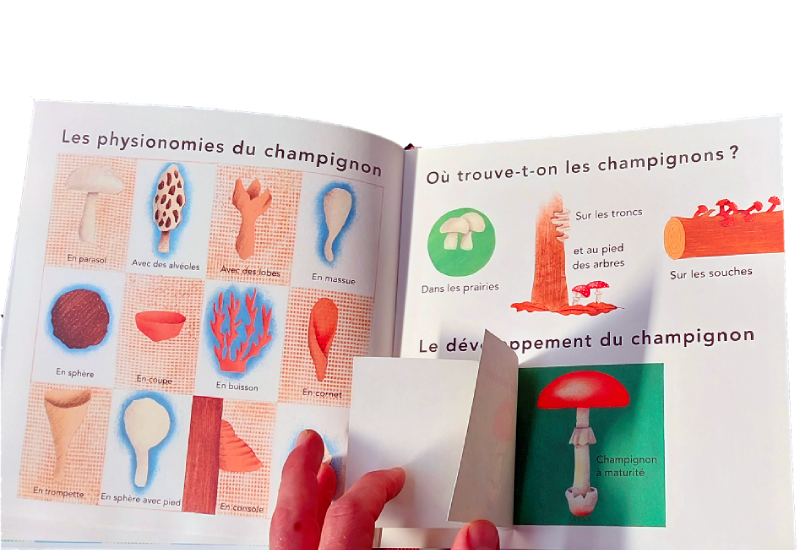 Livre Bernadette GERVAIS "Le Champignon"