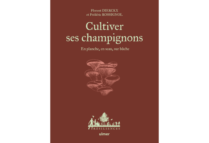 Cultiver ses champignons — En planche, en seau, sur bûche