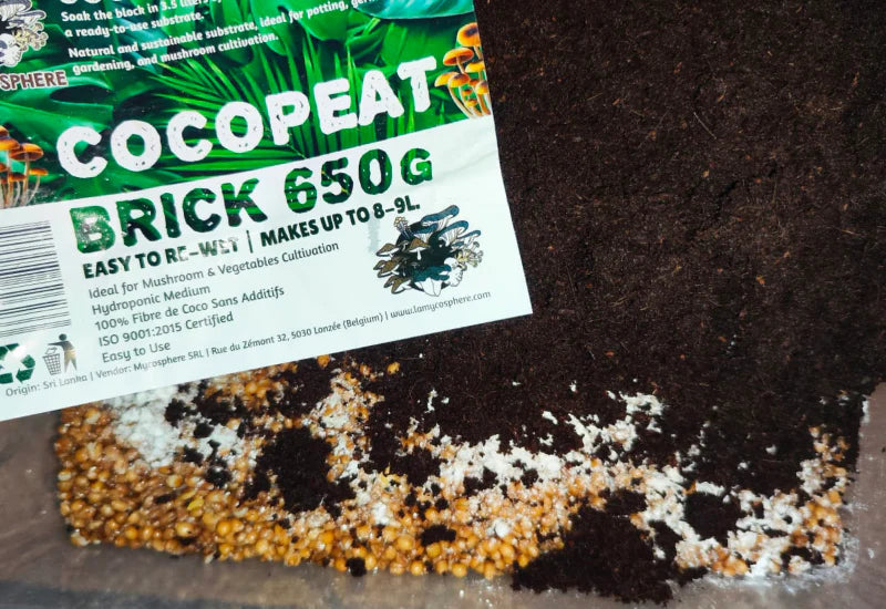 Horticultural vermiculite for growing media – 500 g