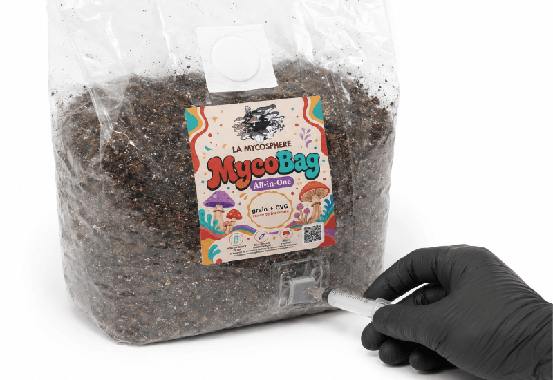 MycoBag All-in-One – sac prêt à inoculer grain + CVG