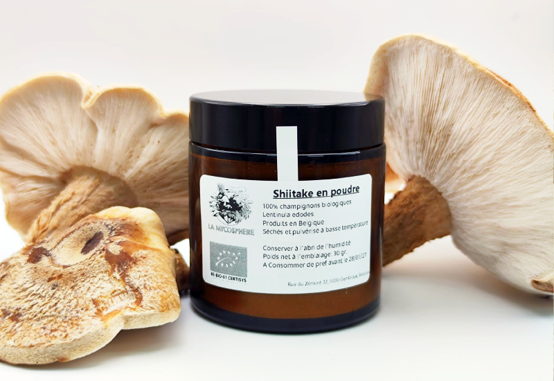 Poudre de shiitaké