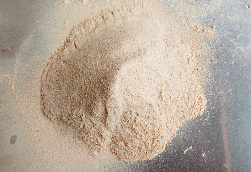 poudre de pleurote