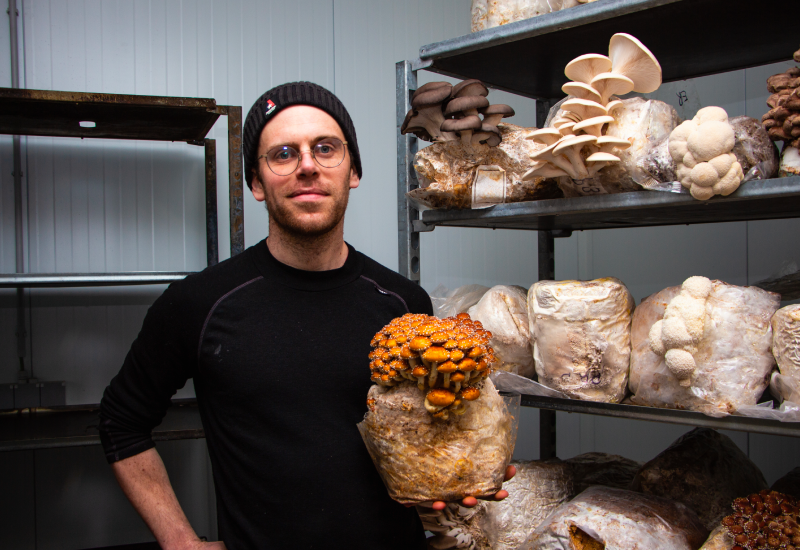 consultant en mycologie