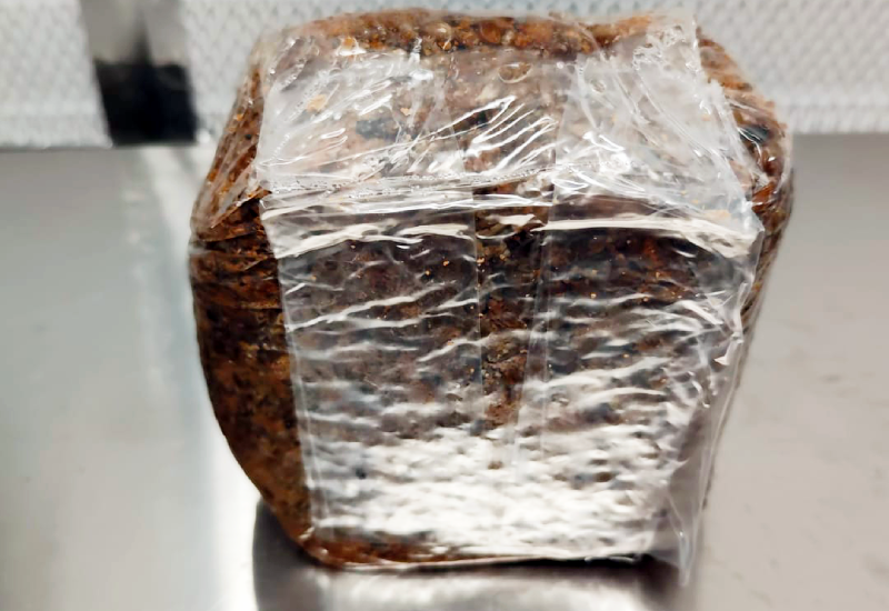 nourriture exogène morilles