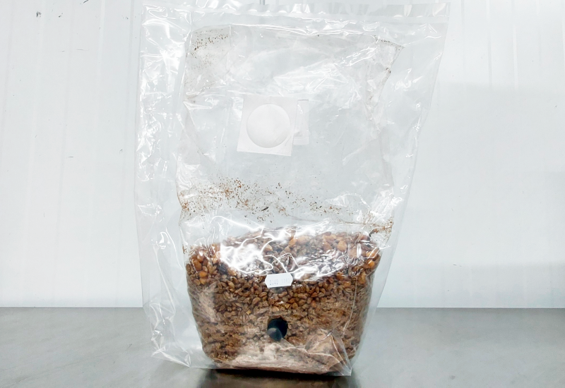 sac de grains stérilisés