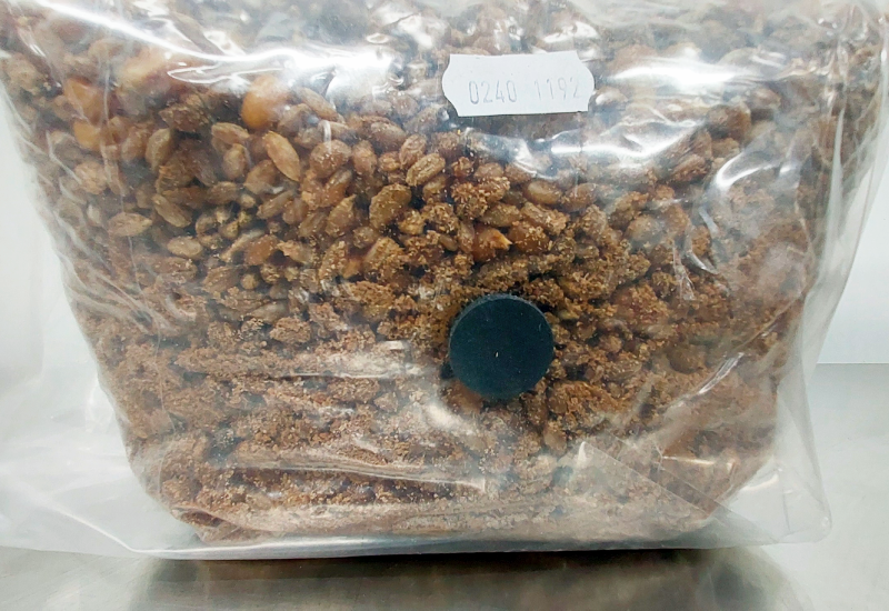 sac de grains stérilisés