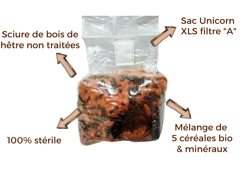 avantages du substrat optimal stérilisé