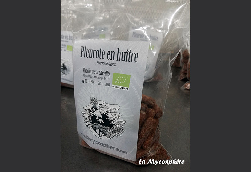 Cheville mycélium bûche pleurote