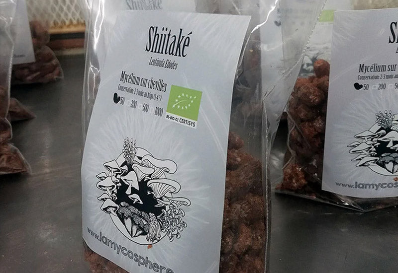 Mycélium sur cheville cultiver champignons sur bûches