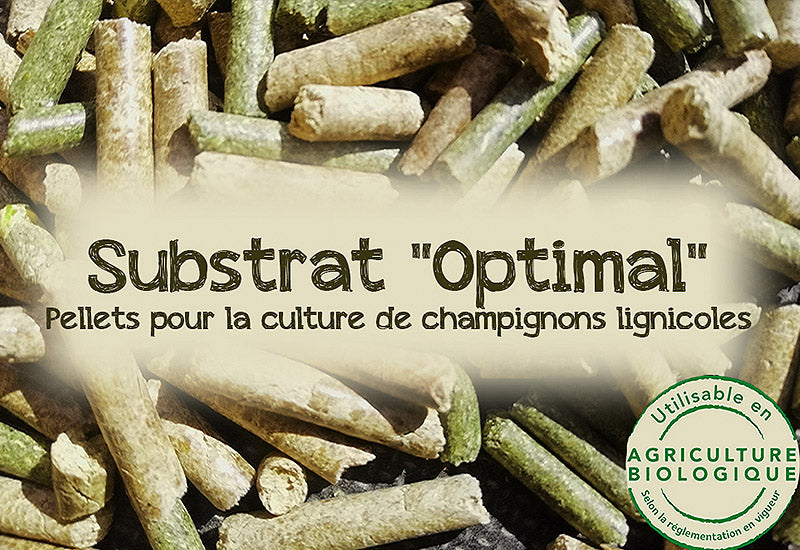 Substrat Optimal - Pellets pour la culture de champignons lignicoles - La Mycosphère