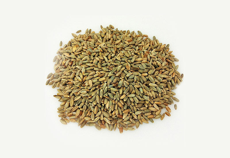 Grains Seigle Bio