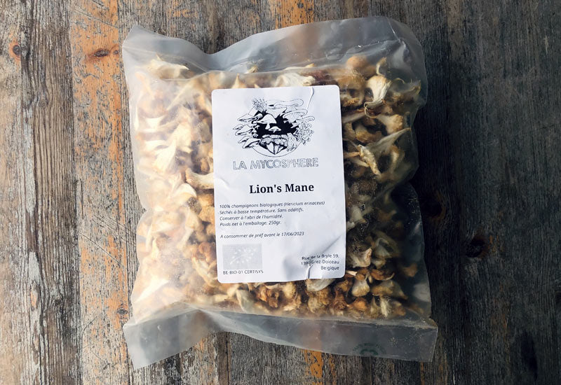 Grand sachets de Lion's Mane séchés
