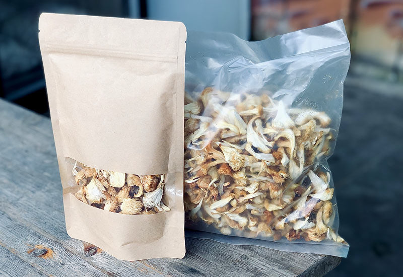 Sachets de Lion's Mane séchés