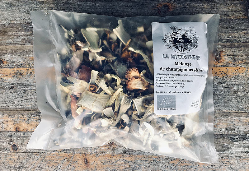 Champignons seche melange vrac