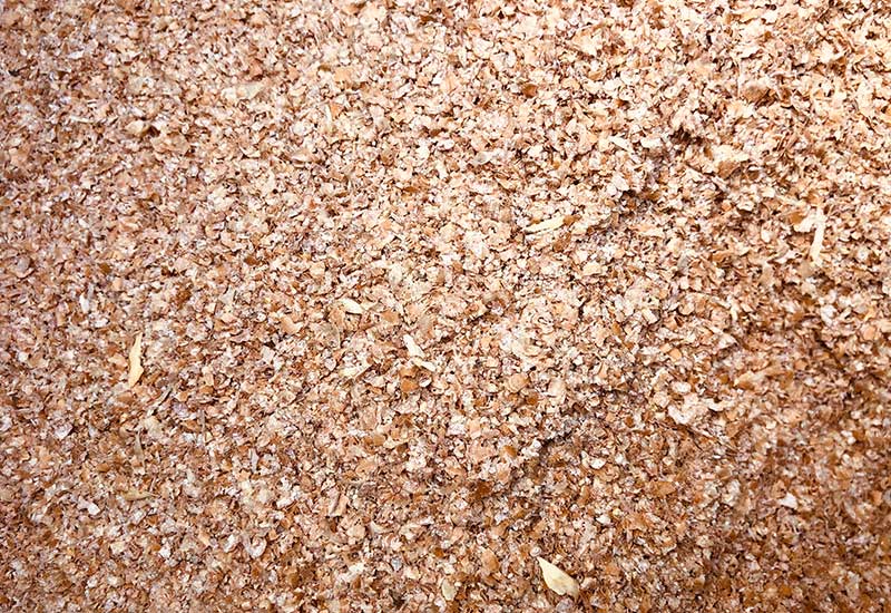 Son de blé bio en vrac