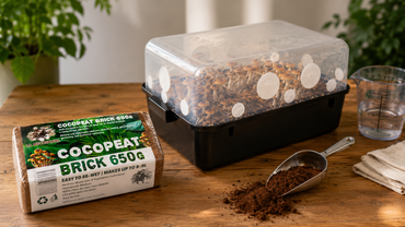 Mushroom single-tube: CVG substrate, coconut fiber, and indoor cultivation
