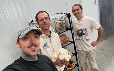 La Mycosphère × North Spore : réunir le vivant et son environnement