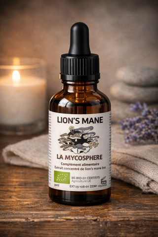 Extrait de Lion's mane Bio Liquide Concentré
