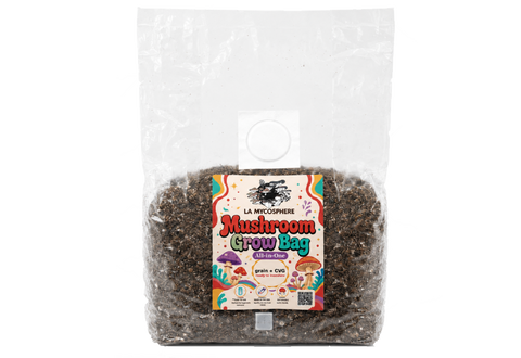 All-in-One Mushroom Grow Bag – Grain + CVG
