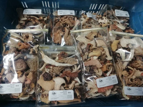 Mélange de Champignons Séchés Bio