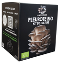 Kit Pleurote Prêt à Pousser