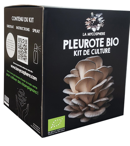 Kit Pleurote Prêt à Pousser