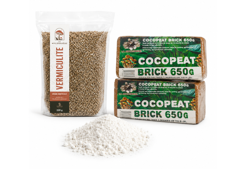 Kit CVG Mycosphere pour la culture de champignon médicinaux