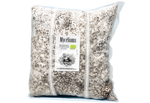 Organic Grain Mycelium