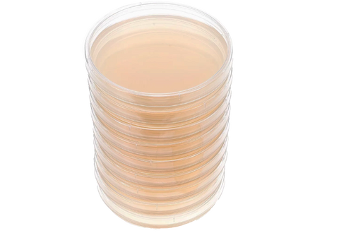 Boîtes de pétri pré-coulées