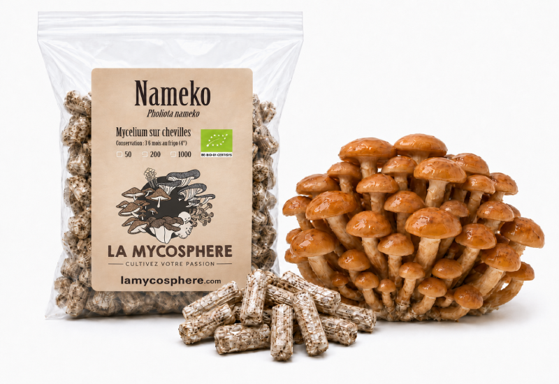 mycélium de nameko sur chevilles pour la culture sur buche