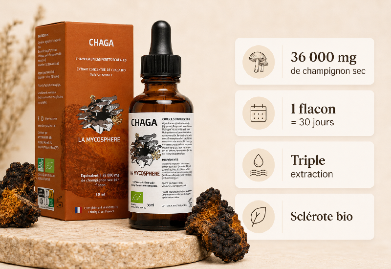 Extrait liquide de Chaga bio Mycosphere