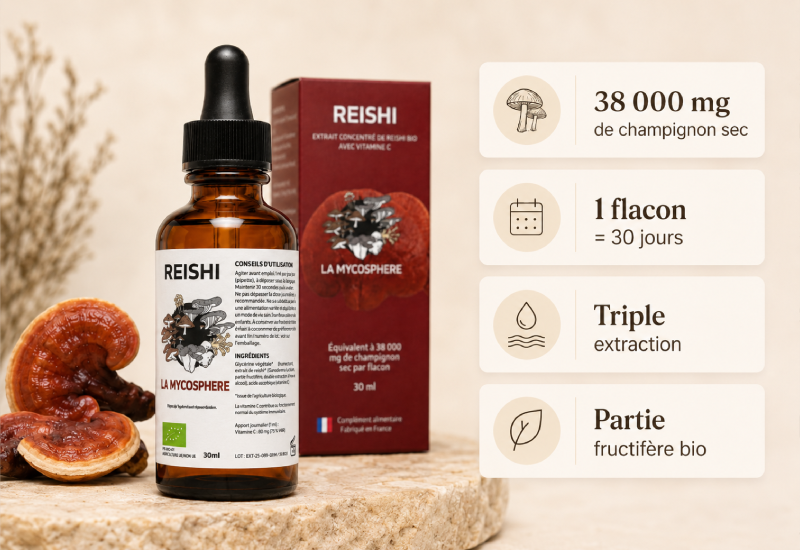 extrait de ganoderma lucidum reishi bio mycosphere