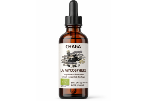 Extrait de Chaga Bio Liquide Concentré