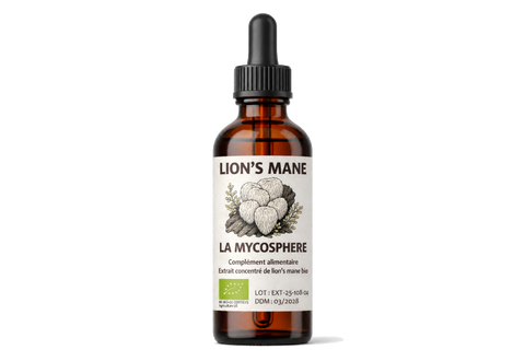Extrait de Lion's mane Bio Liquide Concentré
