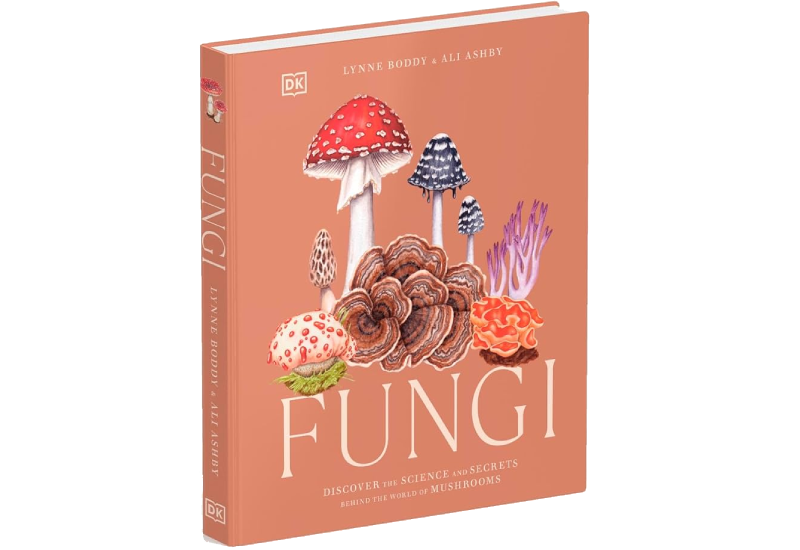 Book Fungi Boddy Lynne